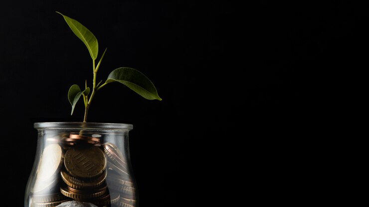 Curso de Ahorro e Inversión
